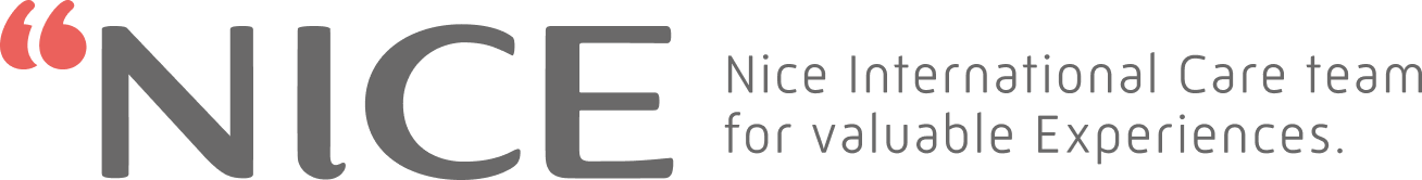 NICEproject logo